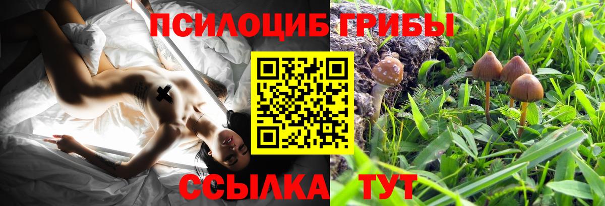 Псилоцибиновые грибы Psilocybe  Вход с VPN  Псилоцибиновые грибы GOLDEN TEACHER  Ливны 