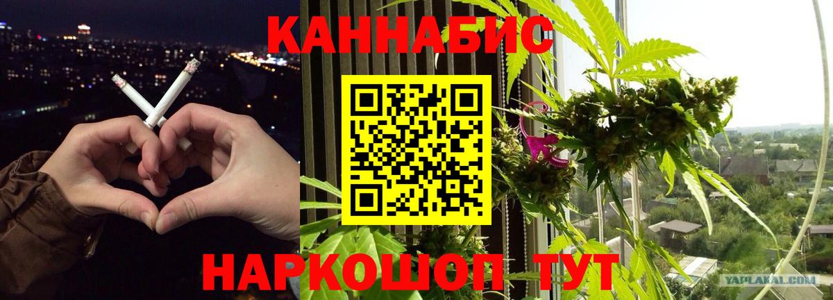 Бошки Шишки LSD WEED  МАРИХУАНА планчик  Ливны  Бошки марихуана марихуана  Вход с VPN 